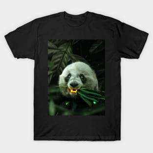 Gold Panda T-Shirt